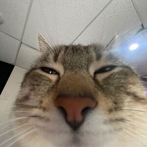 Meet your Posher, Emery